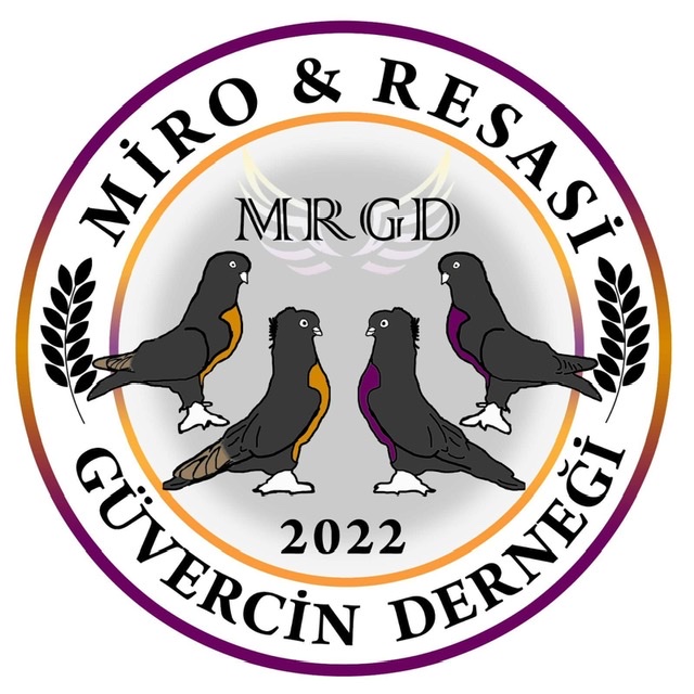 Miro & Resasi Güvercin Fedarasyonu Kuruldu